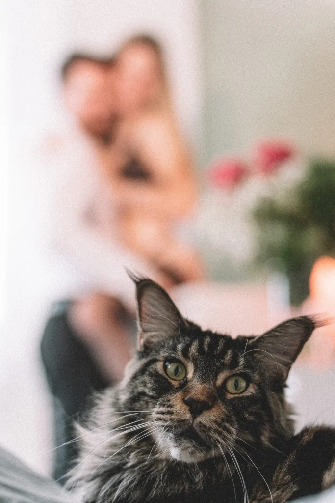 Fotografie z kategorie portréty, číslo 14